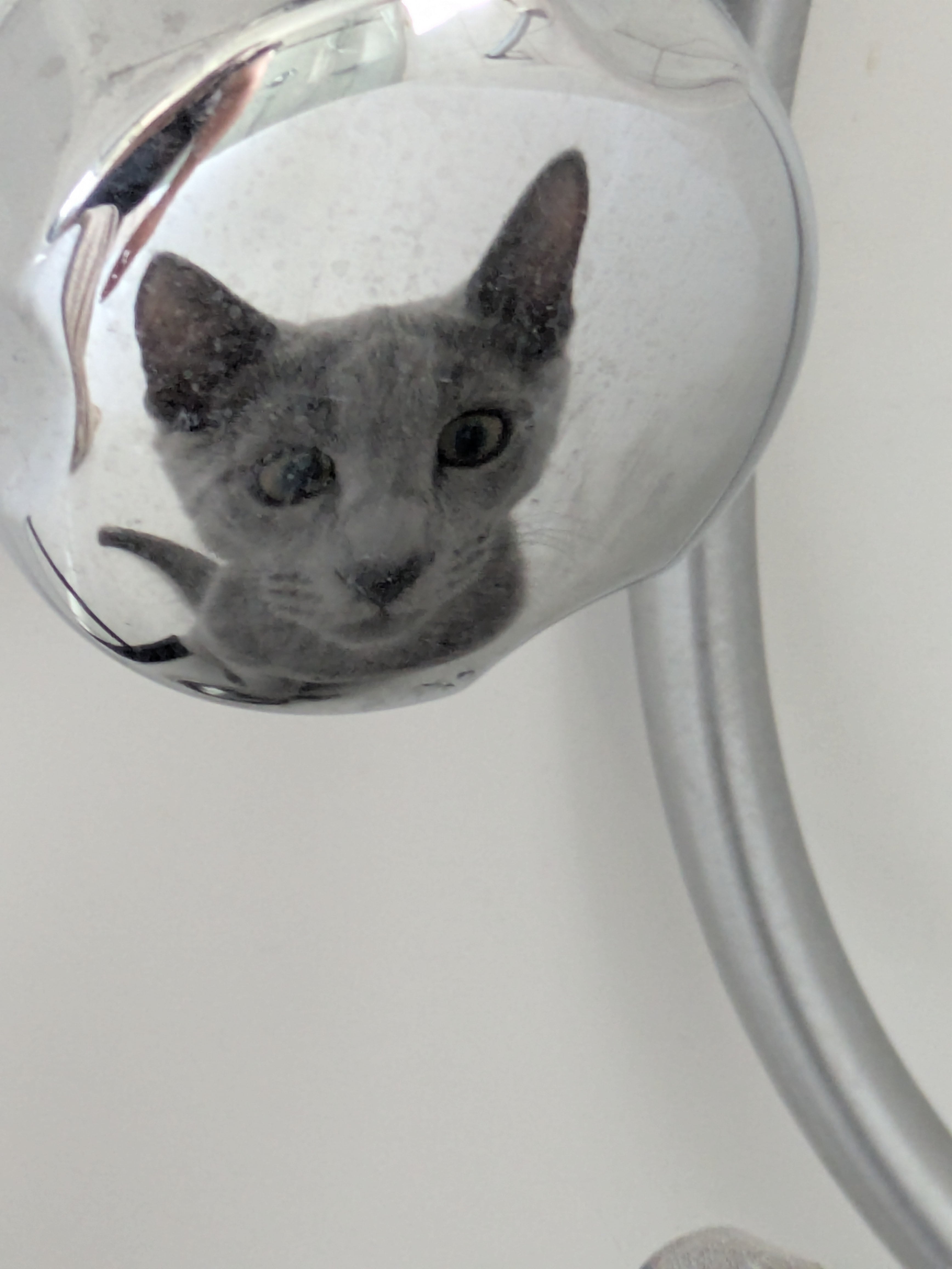 🎶 I'm starting with the man in the mirror 🎶