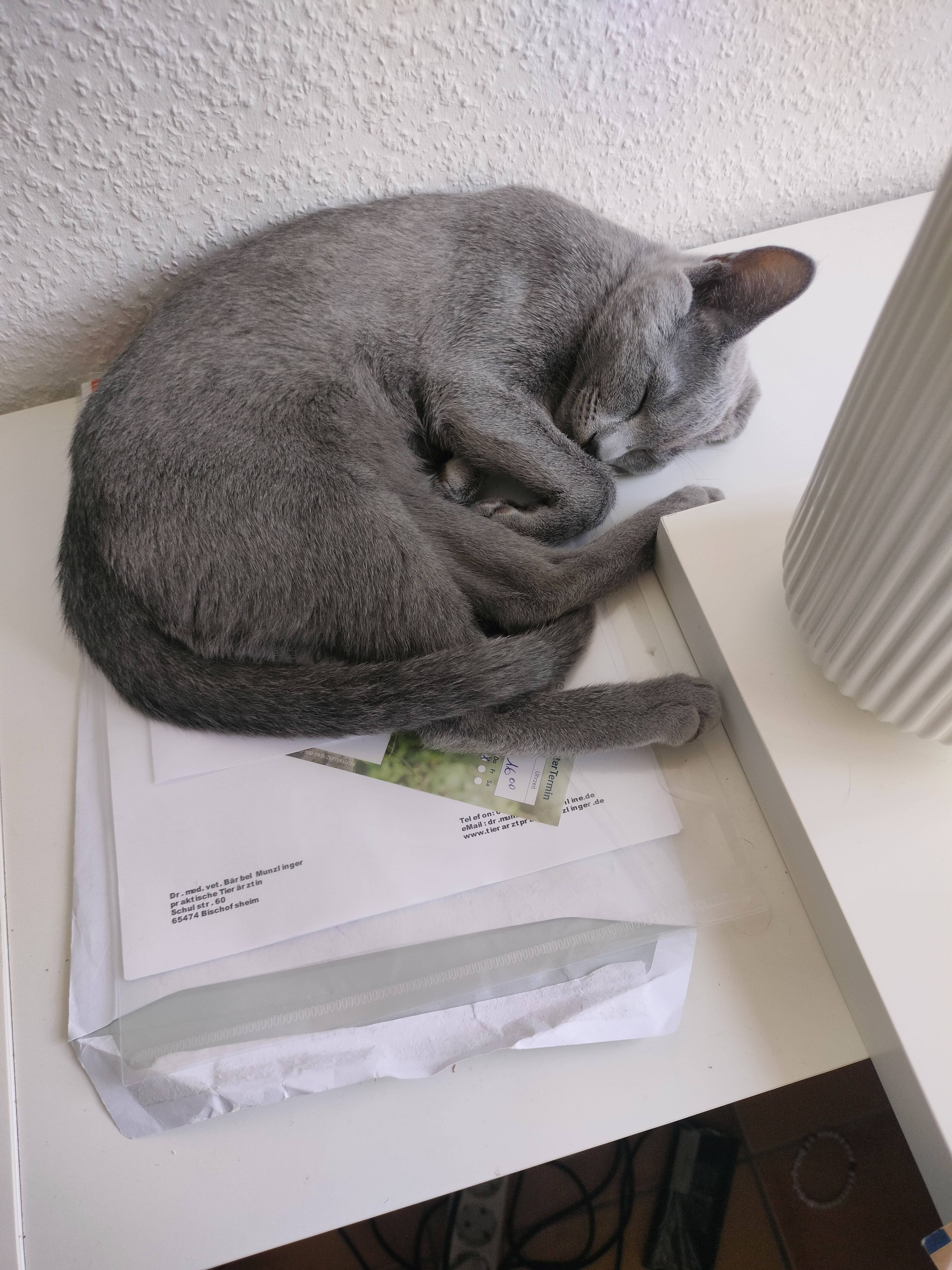 🎶Sweet dreams are made of this🎶