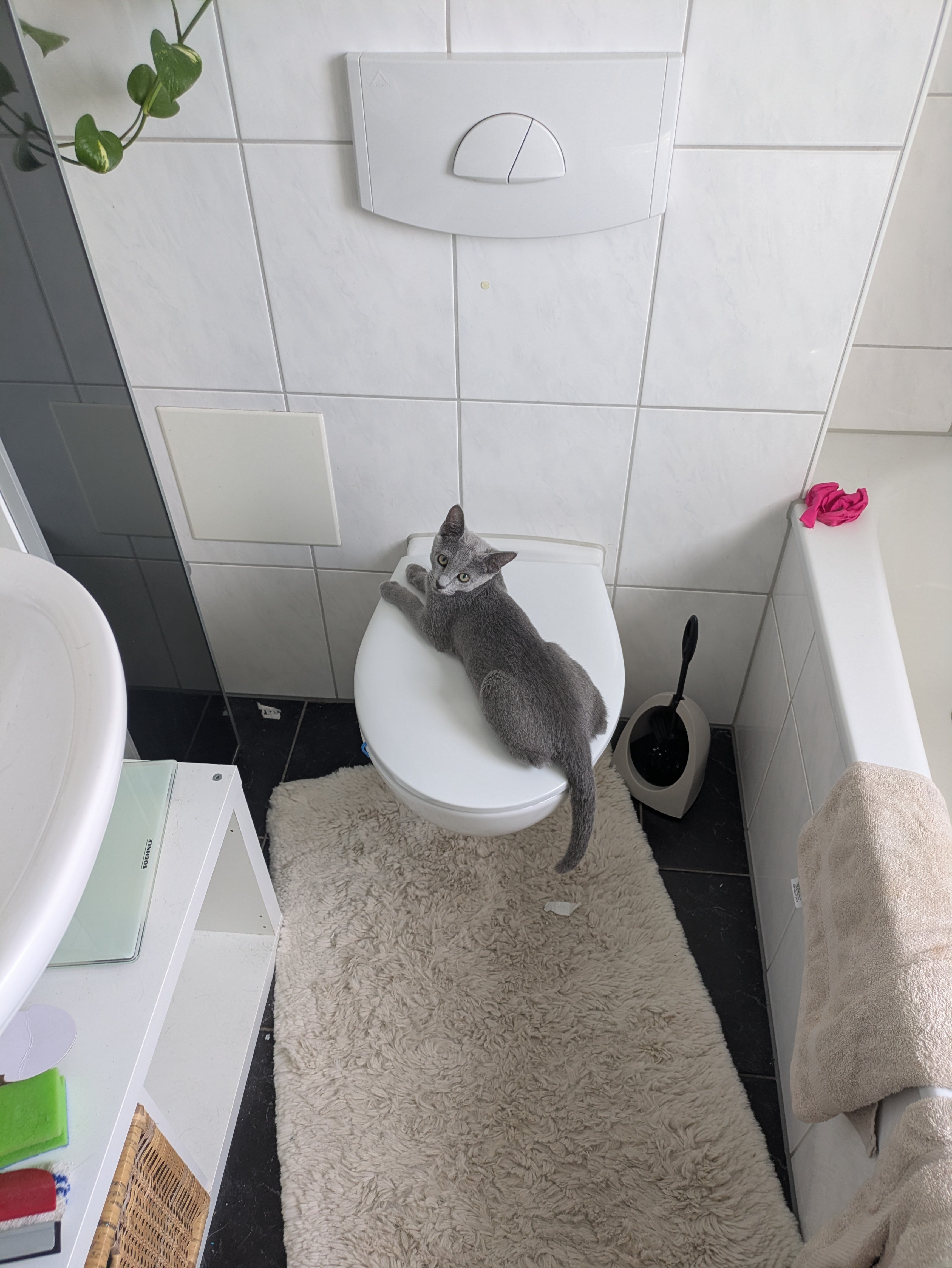 Of all the places to relax