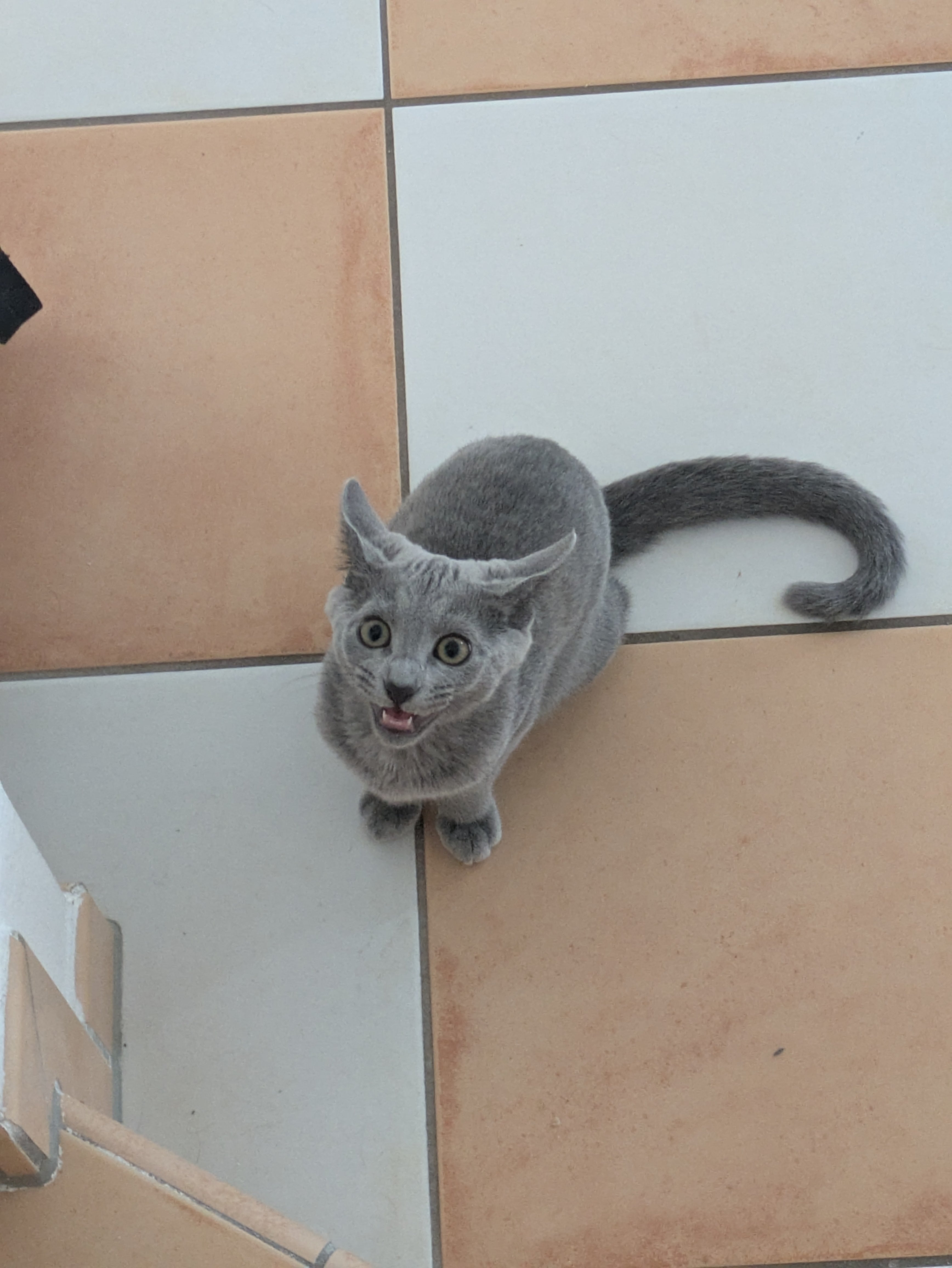 The prince demands his breakfest