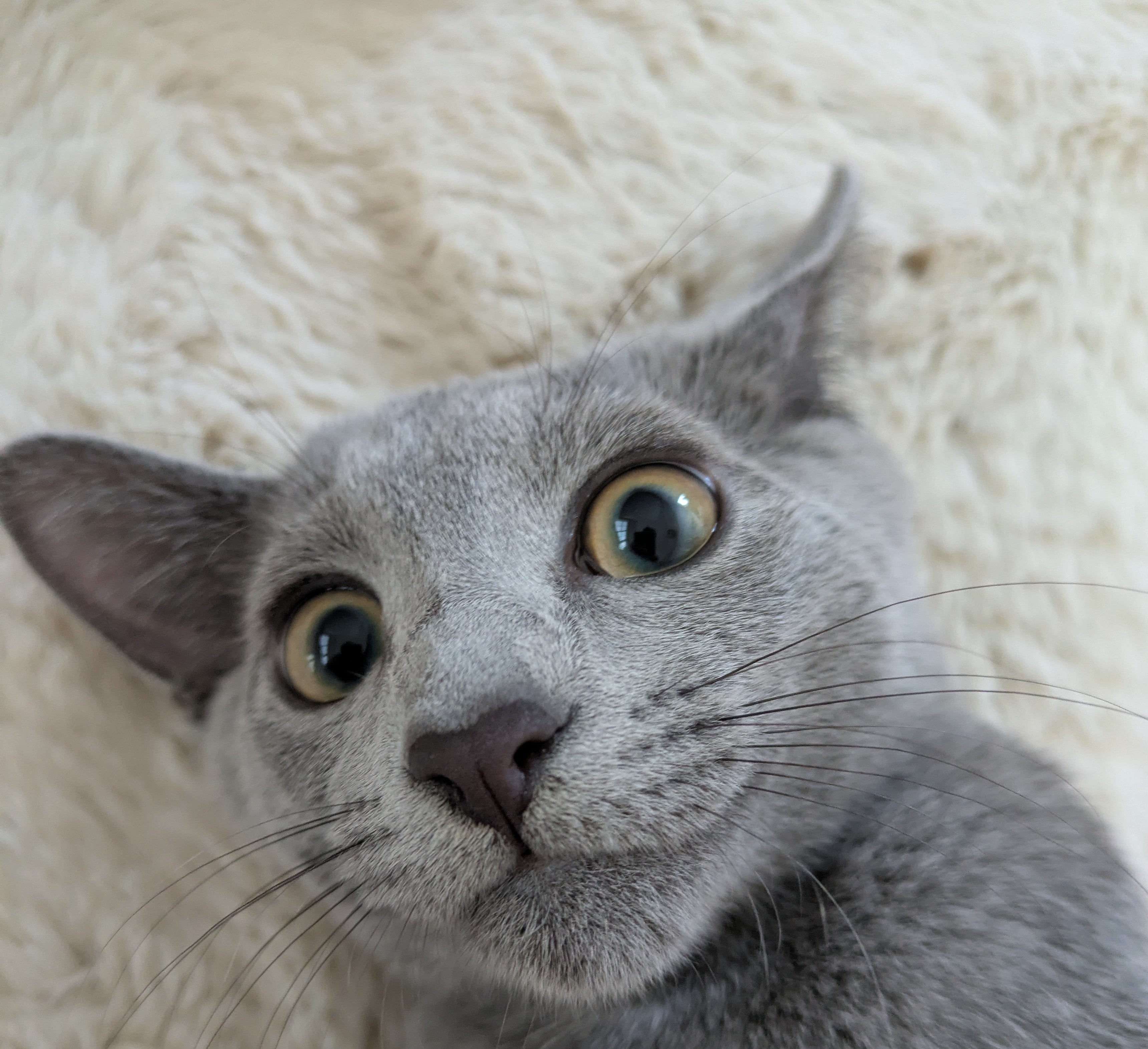 Dont get fooled by his smile