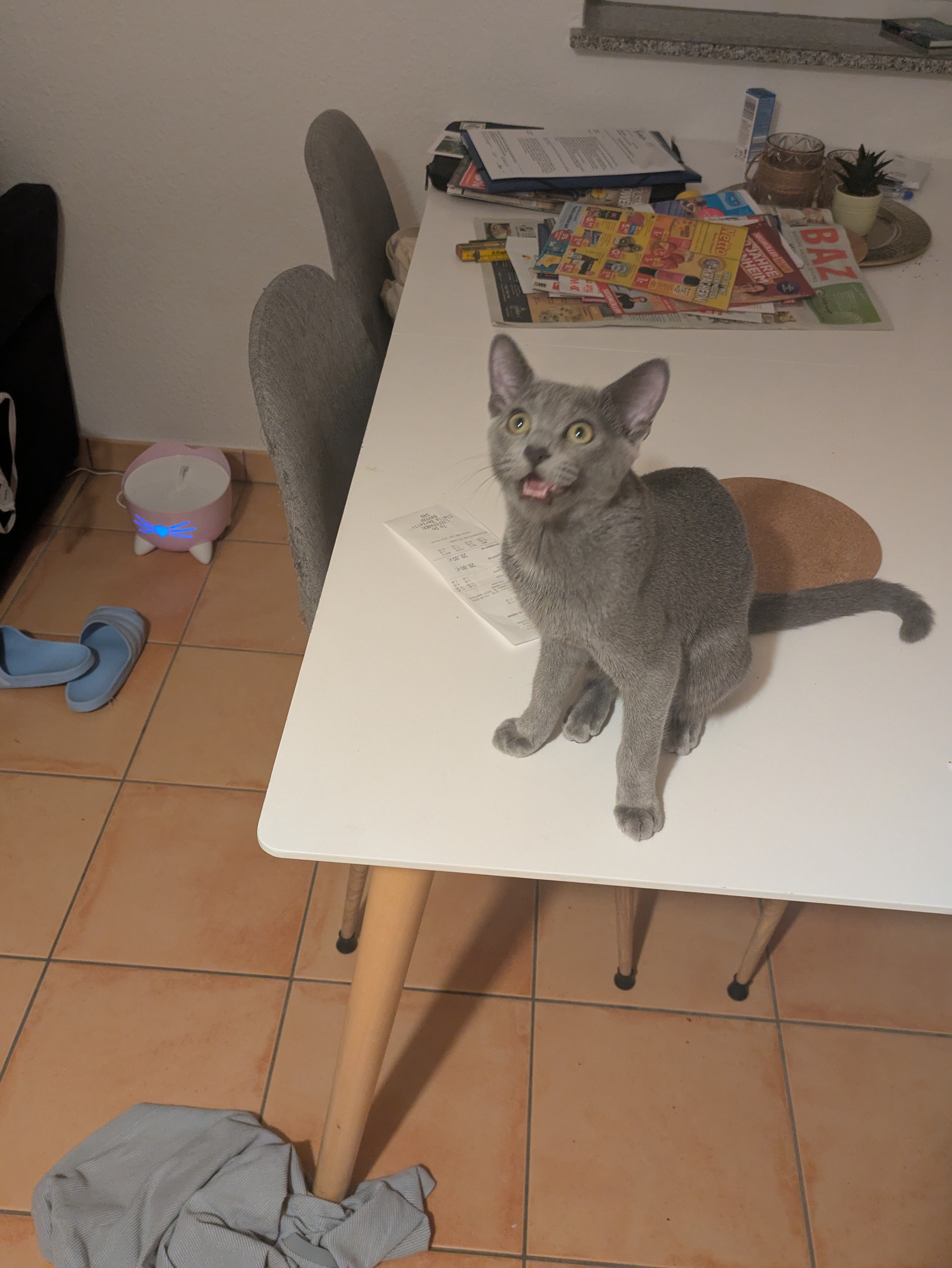 "Get my mouse out of the Lamp"