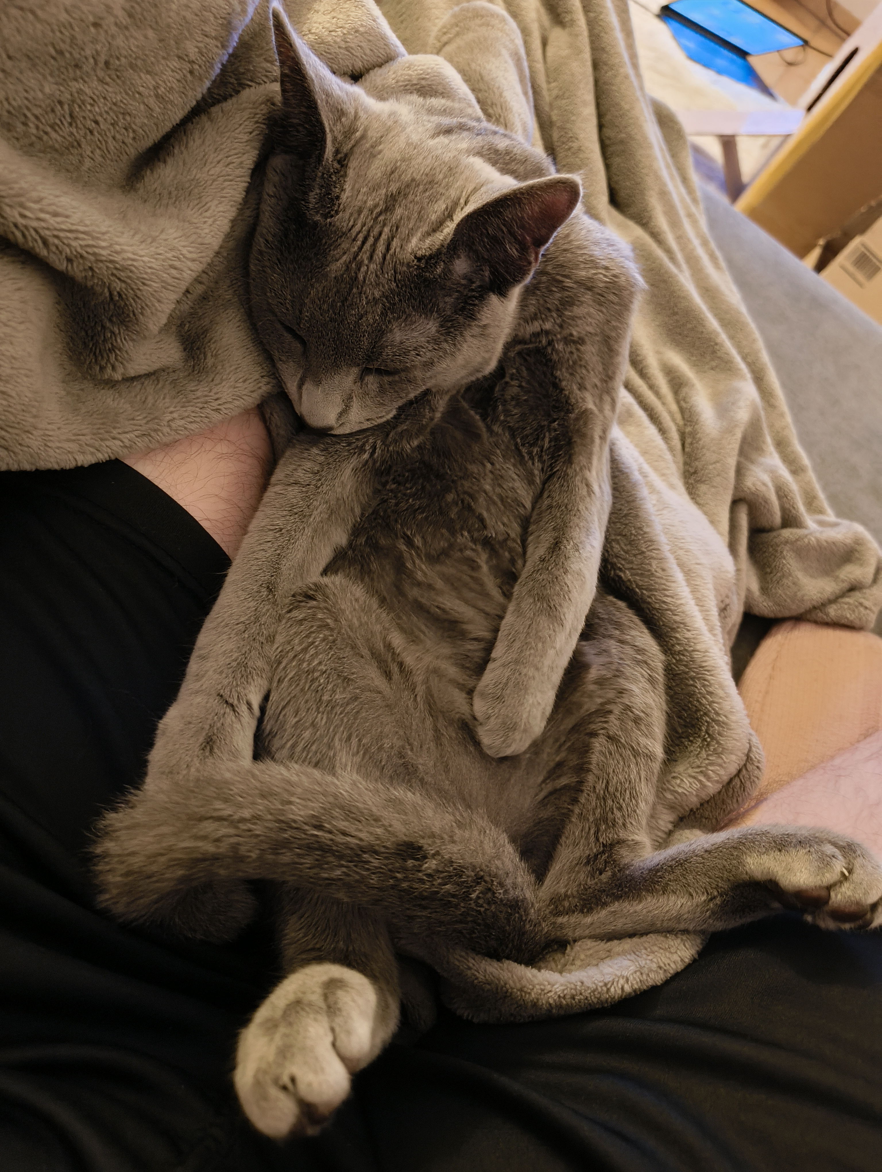 Finally, a very good sleep...