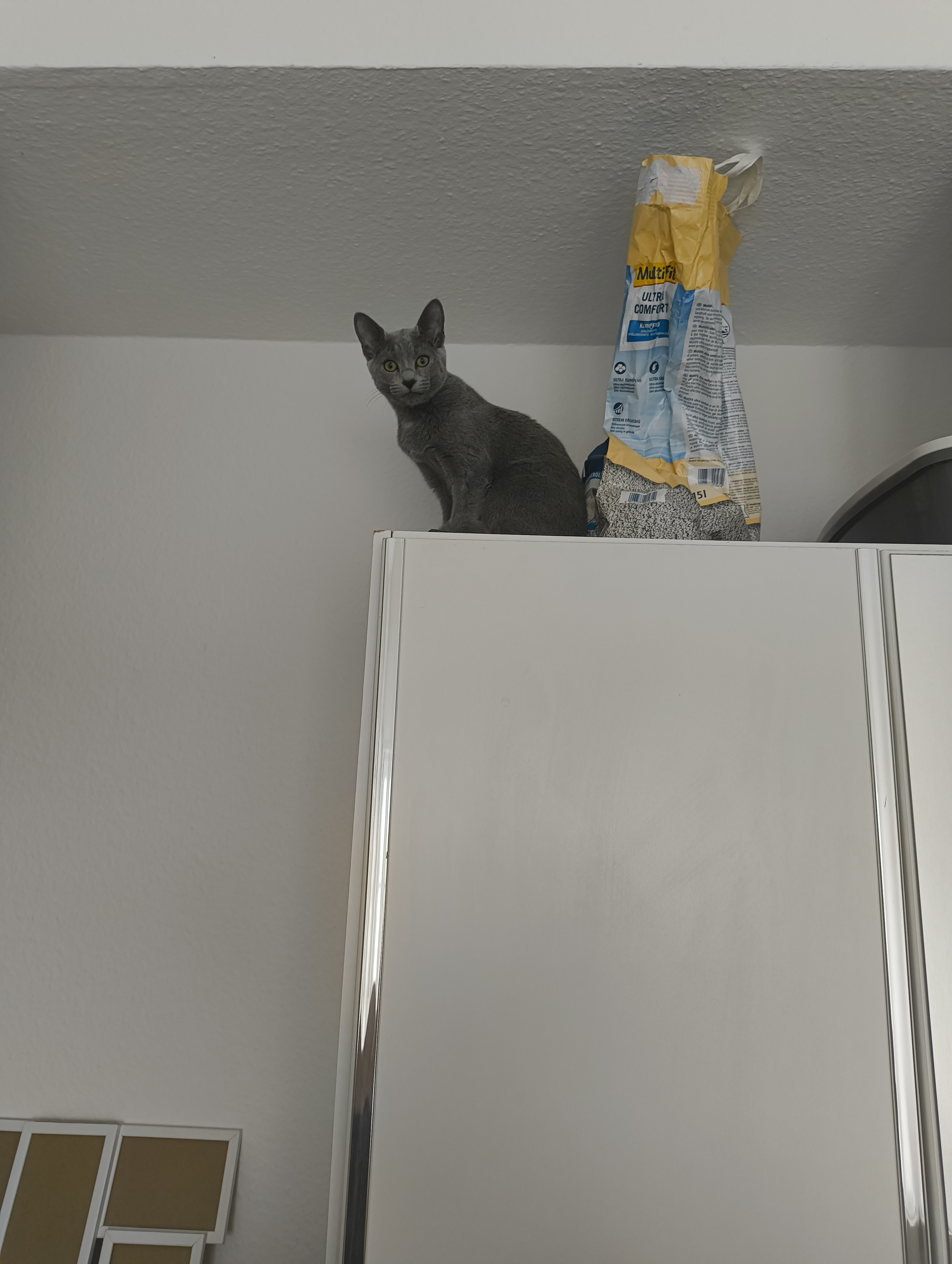 The king of the mountain