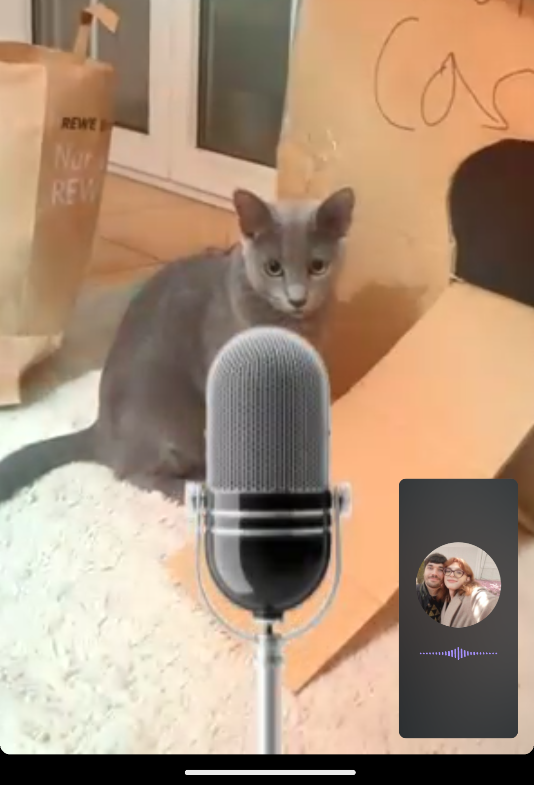 Puma the singer