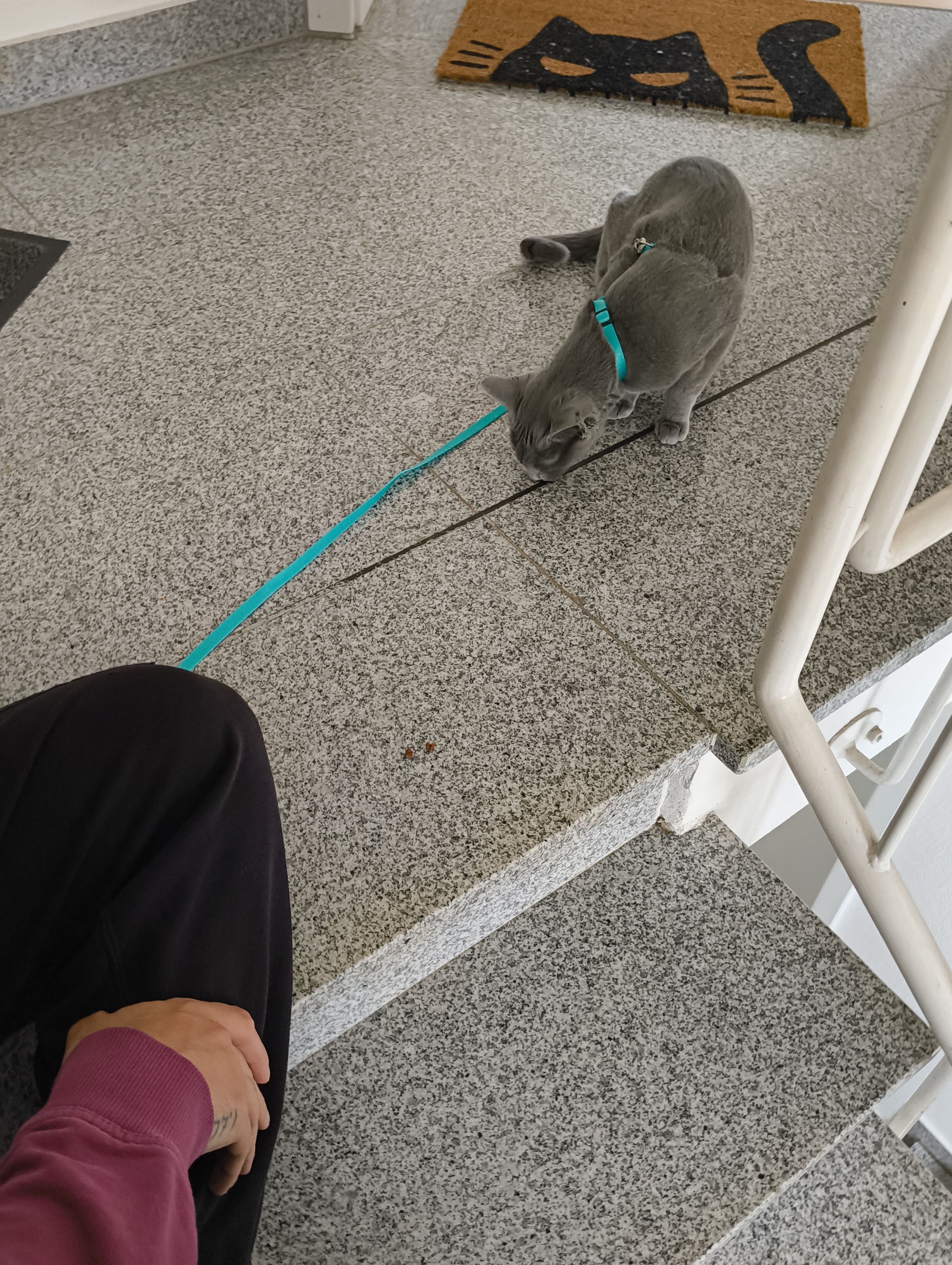 Experimenting outside...👀