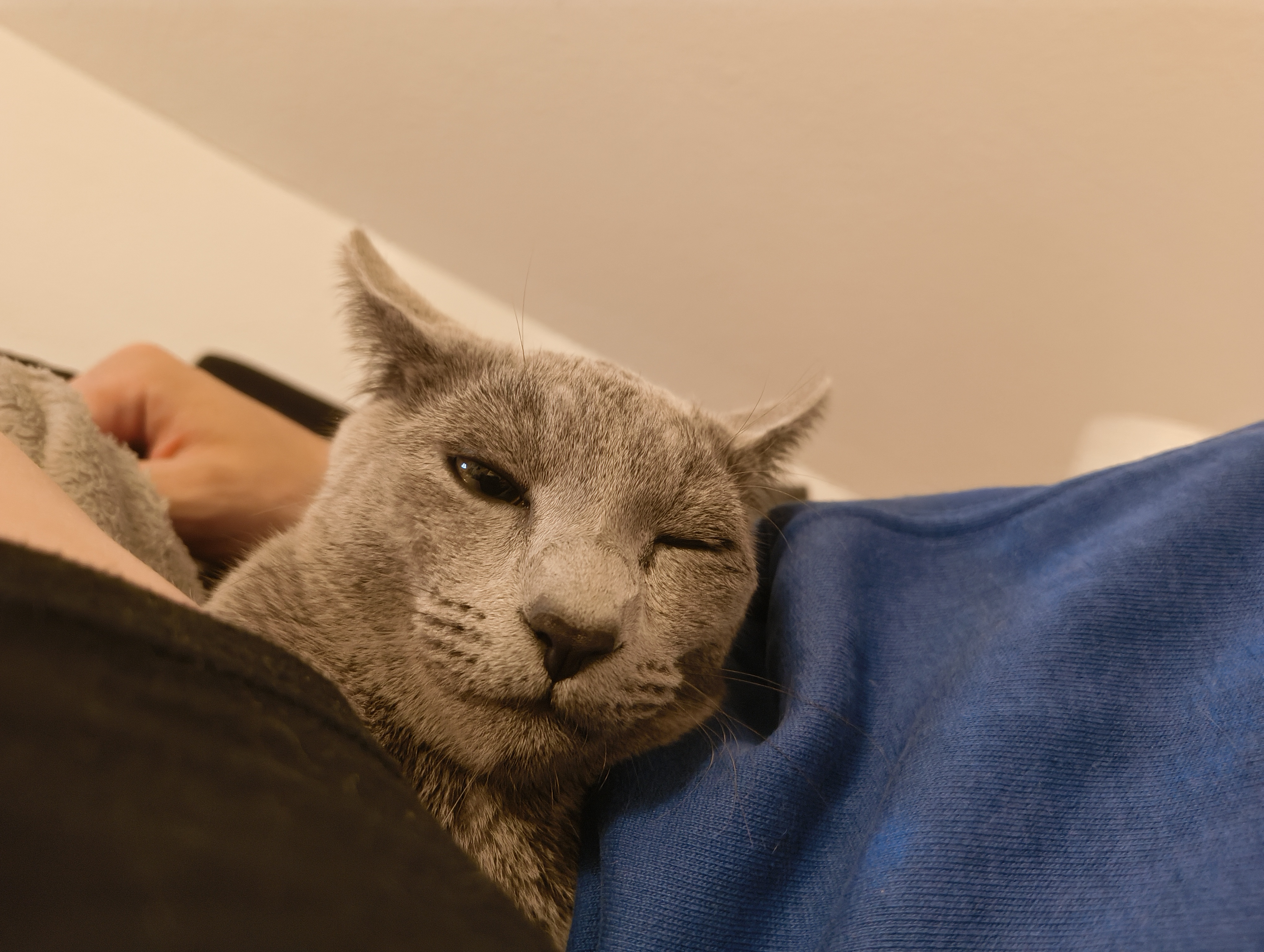 Pirate eye cuddling with mommy and daddy