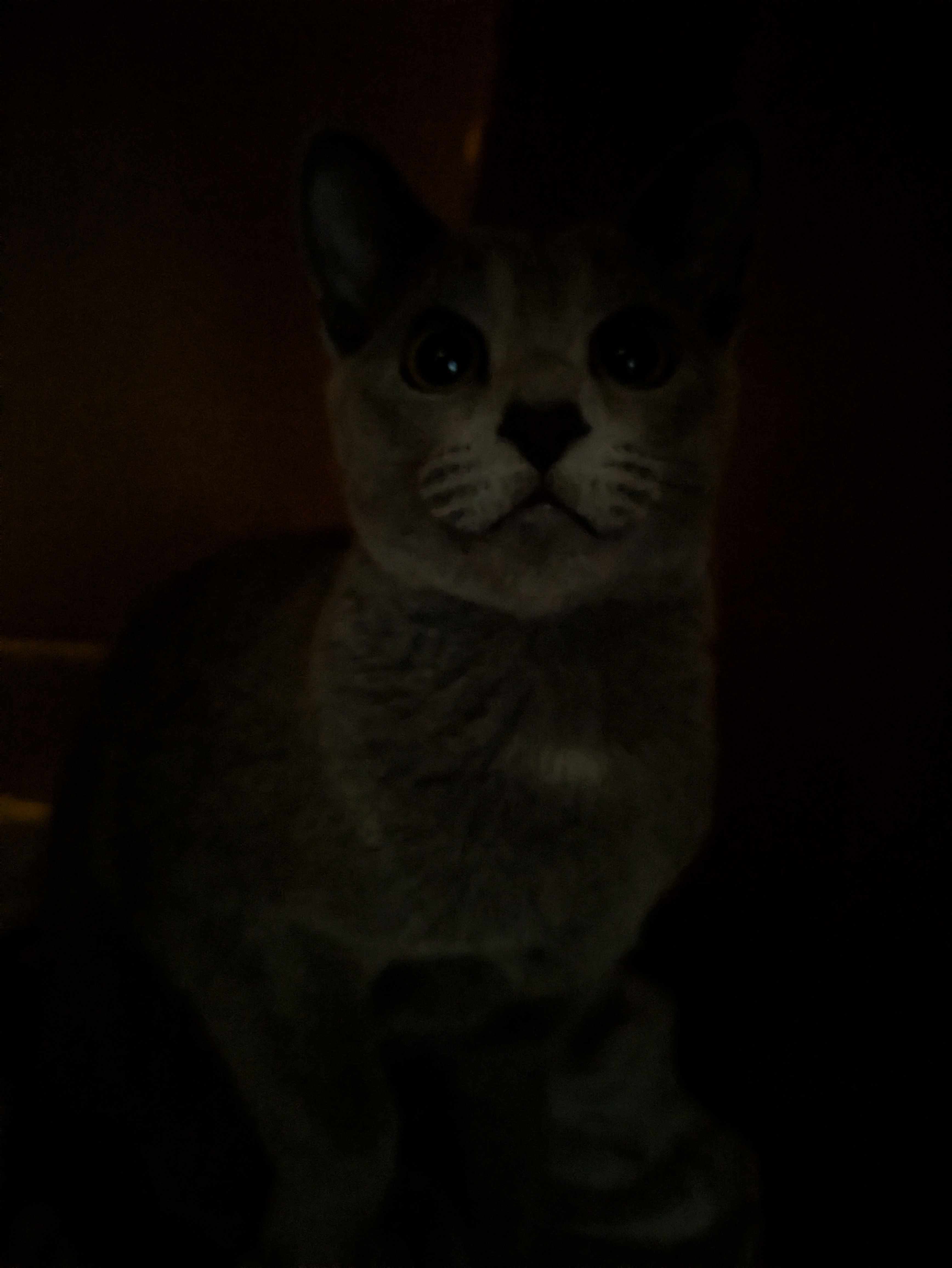 "I was born in the dark you merely adopted it"